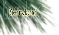 Berryland - natural cosmetic privat label production